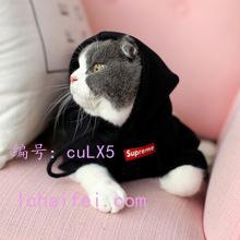 û