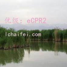 ó