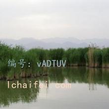 Ͻ