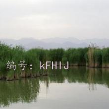 ϣ