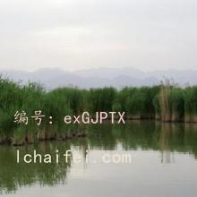ó