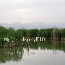 ΢