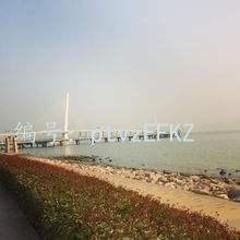 ѹ