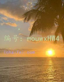 ΢