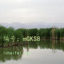 ѧϰ
