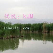 Ȼ