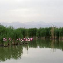 Ȼ