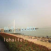 ͥ
