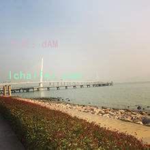 ƻ
